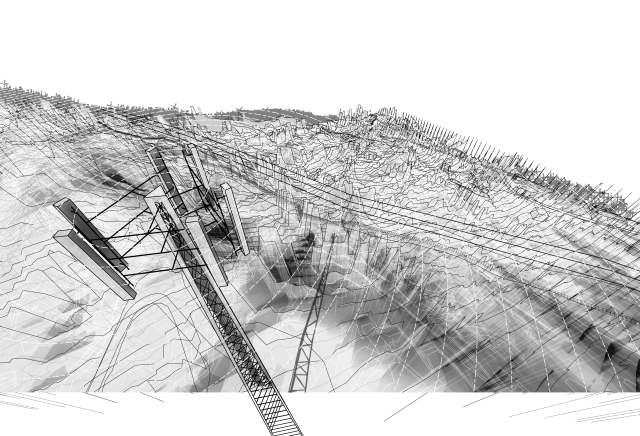 Augmented Wild Image - Paul Bamson